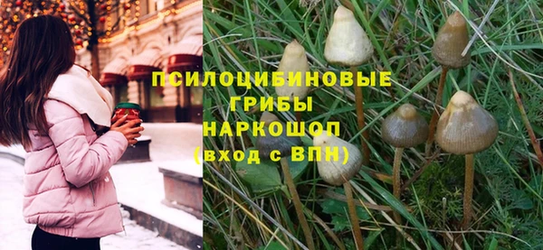 индика Абаза