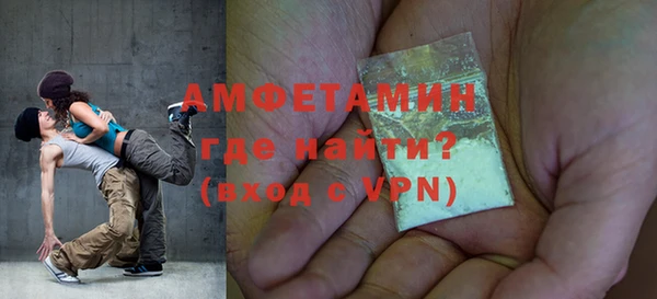 индика Абаза