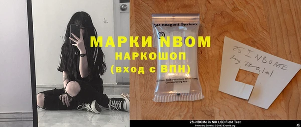 индика Абаза