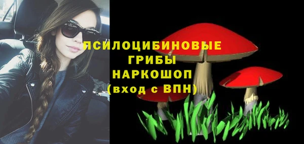 сатива Абдулино