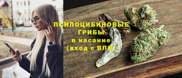 сатива Абдулино
