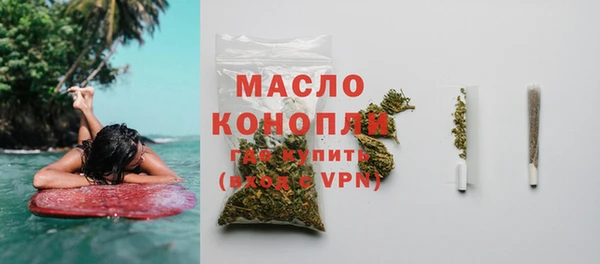 индика Абаза