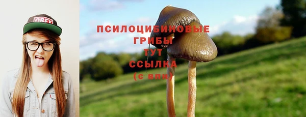 стаф Абинск