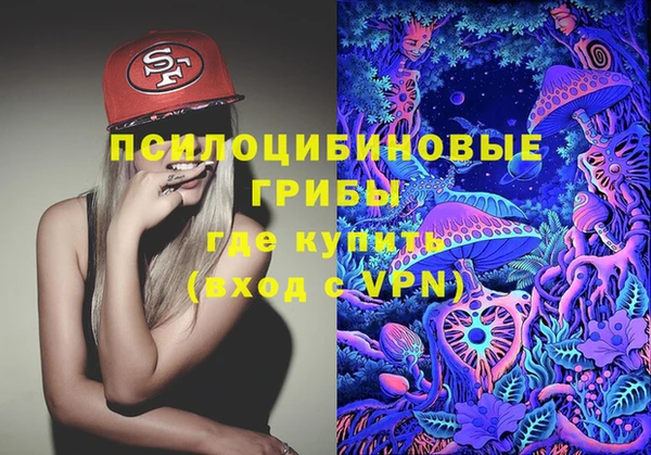 сатива Абдулино