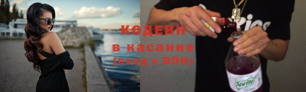 индика Абаза