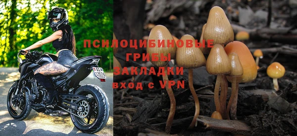 сатива Абдулино