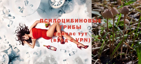 сатива Абдулино