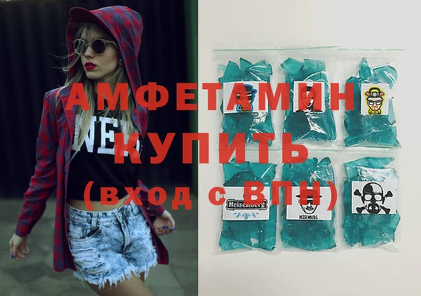 индика Абаза