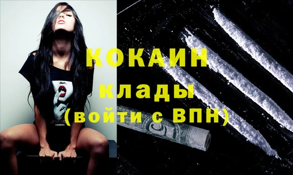 стаф Абинск