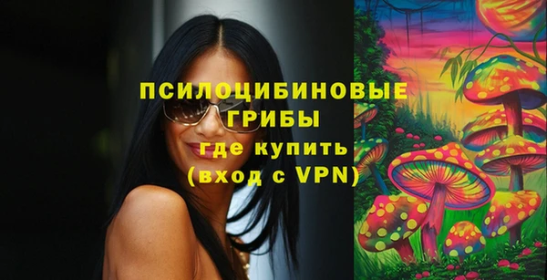 стаф Абинск