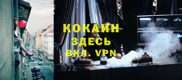 индика Абаза