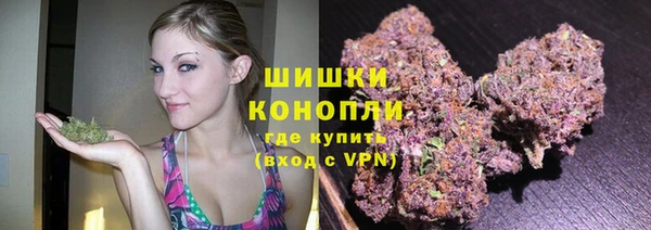 сатива Абдулино