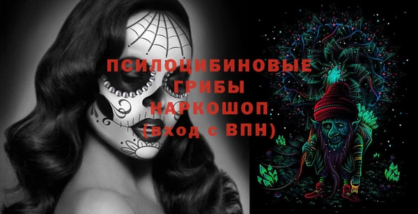 стаф Абинск