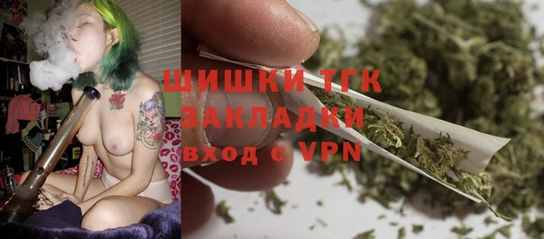 индика Абаза
