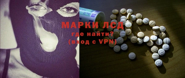 индика Абаза