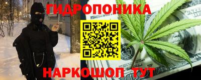 стафф Лениногорск