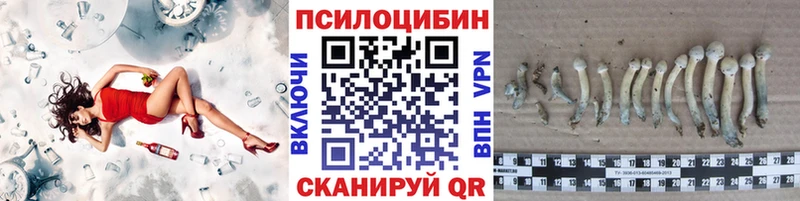 как найти наркотики  Кинешма  Псилоцибиновые грибы Psilocybe 