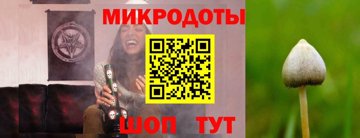 Псилоцибиновые грибы GOLDEN TEACHER Кинешма